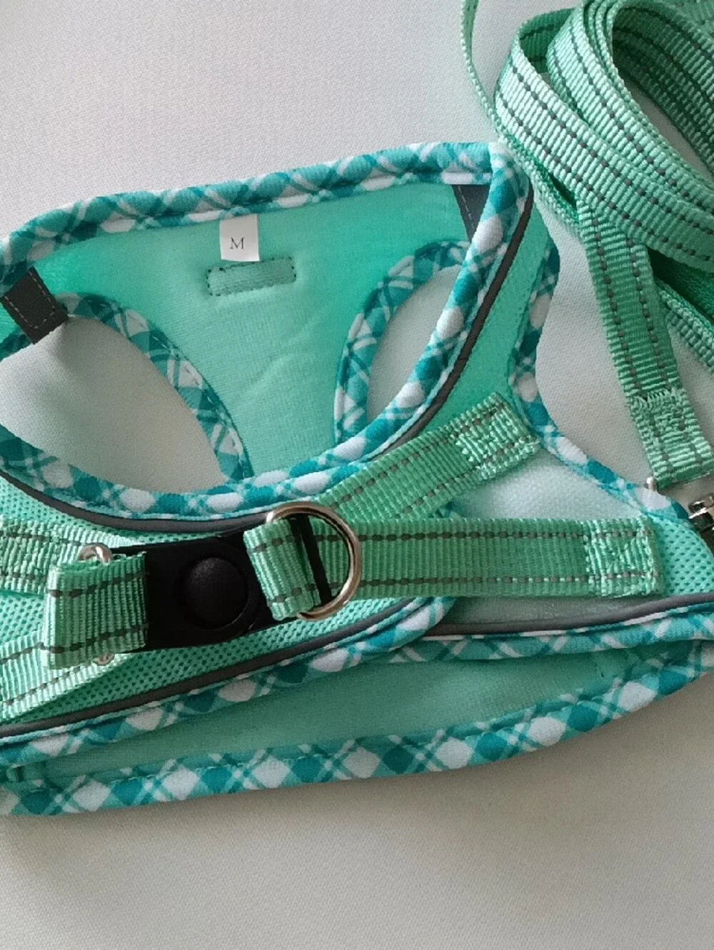 AMTOR Mint Green Dog Harness & Leash Set